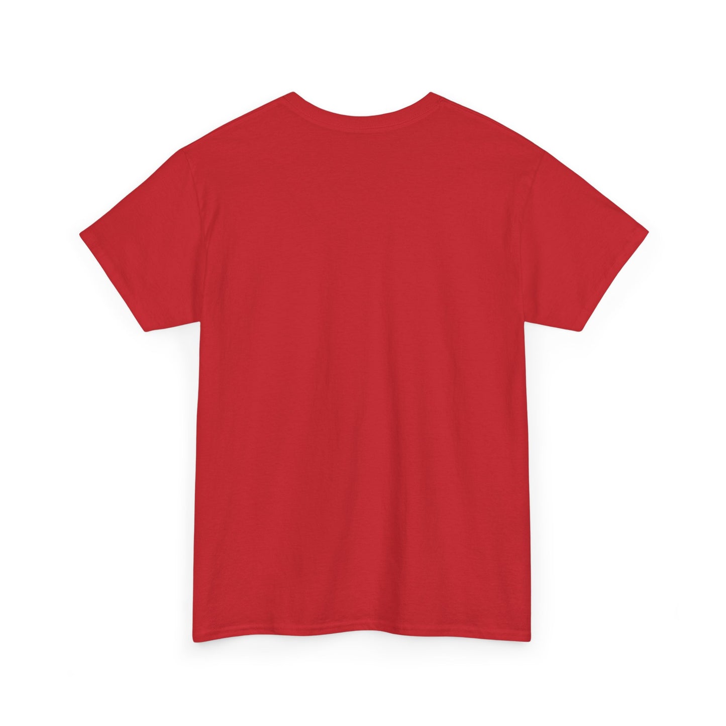 Breaking Cycles Unisex Heavy Cotton Tee