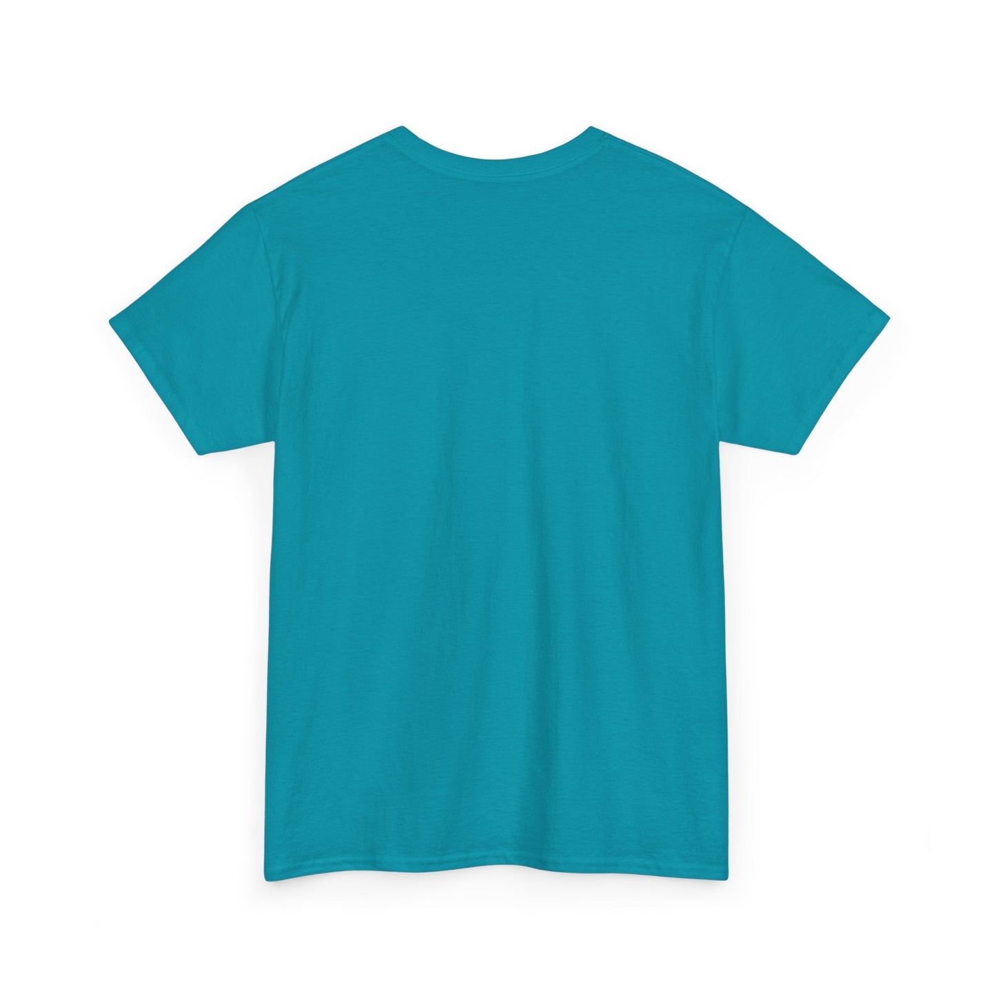 Breaking Cycles Unisex Heavy Cotton Tee