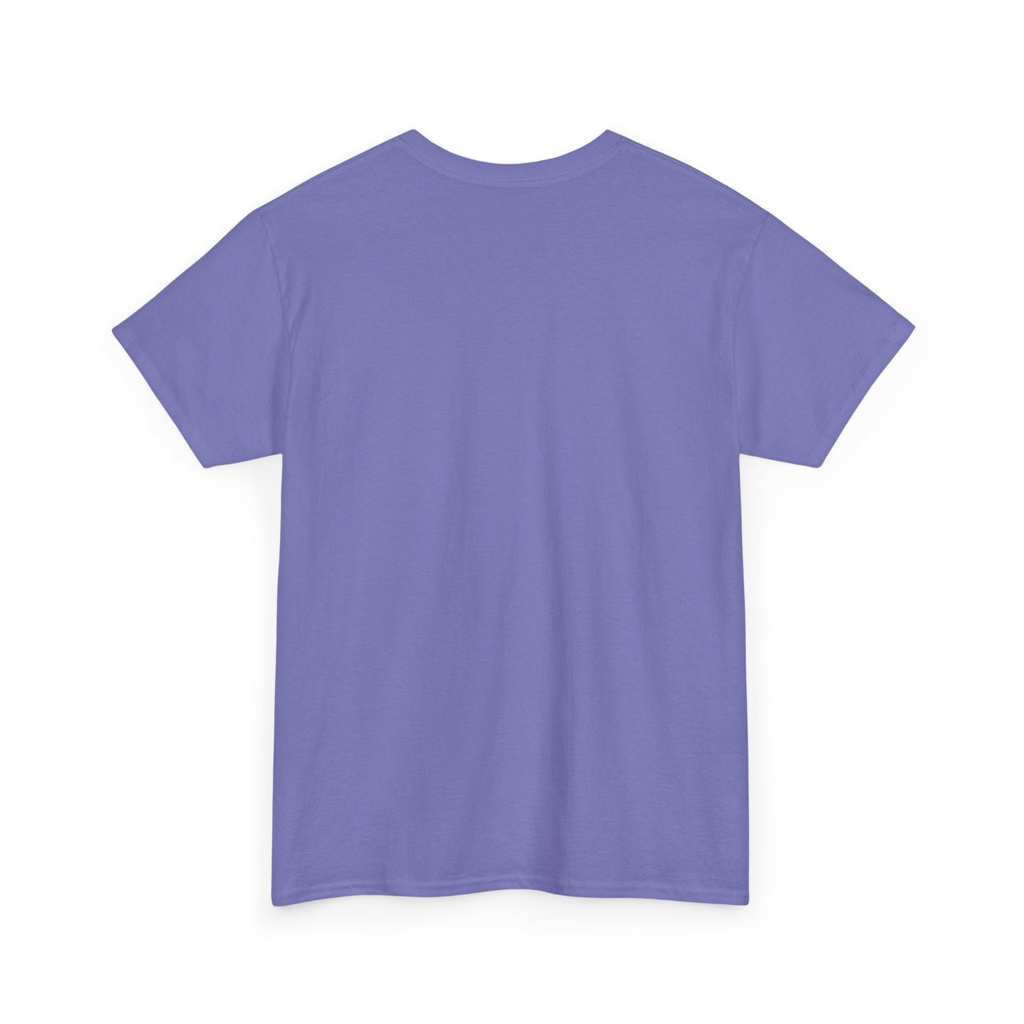 Breaking Cycles Unisex Heavy Cotton Tee