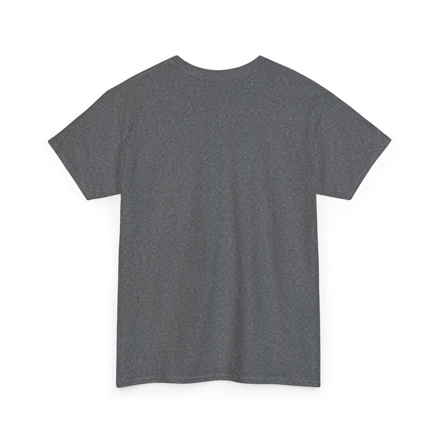 Breaking Cycles Unisex Heavy Cotton Tee